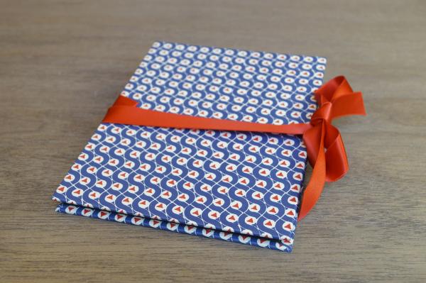 Hübsches Leporello blau rot Schleife